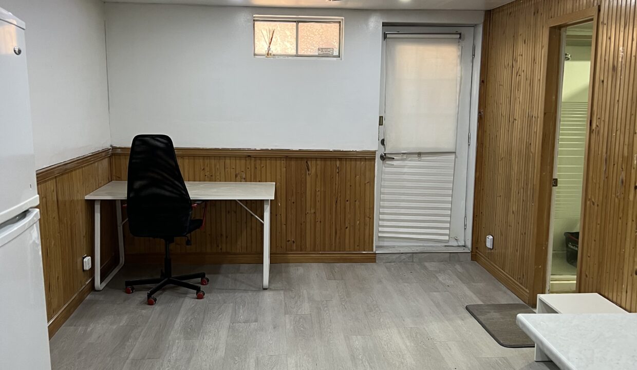 17. Basement Living Area 2