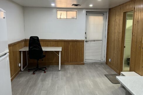 17. Basement Living Area 2