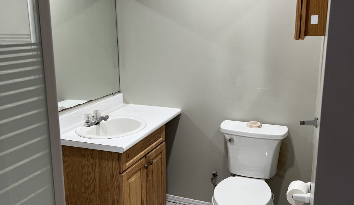 18. Basement Bathroom