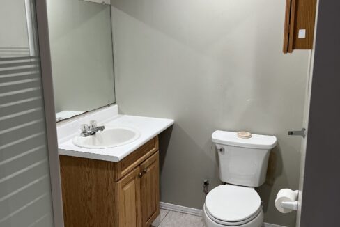 18. Basement Bathroom