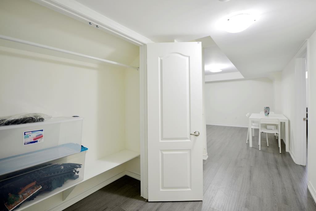 115 Iceland Poppy Trail 2