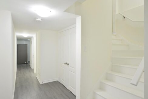 115 Iceland Poppy Trail 3