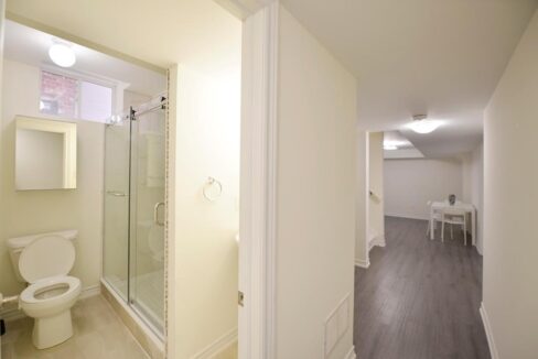 115 Iceland Poppy Trail 4