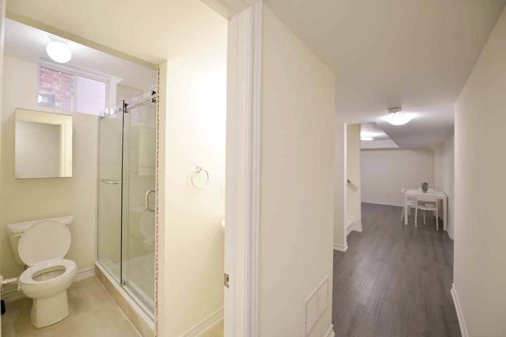 115 Iceland Poppy Trail 4